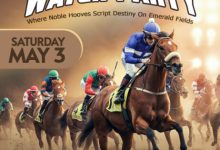 Kentucky derby 2025: guía completa del evento más emocionante de Estados Unidos