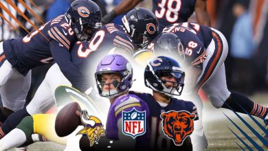 bears game