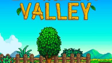 Guía para empezar Stardew Valley sin desperdiciar la primera semana
